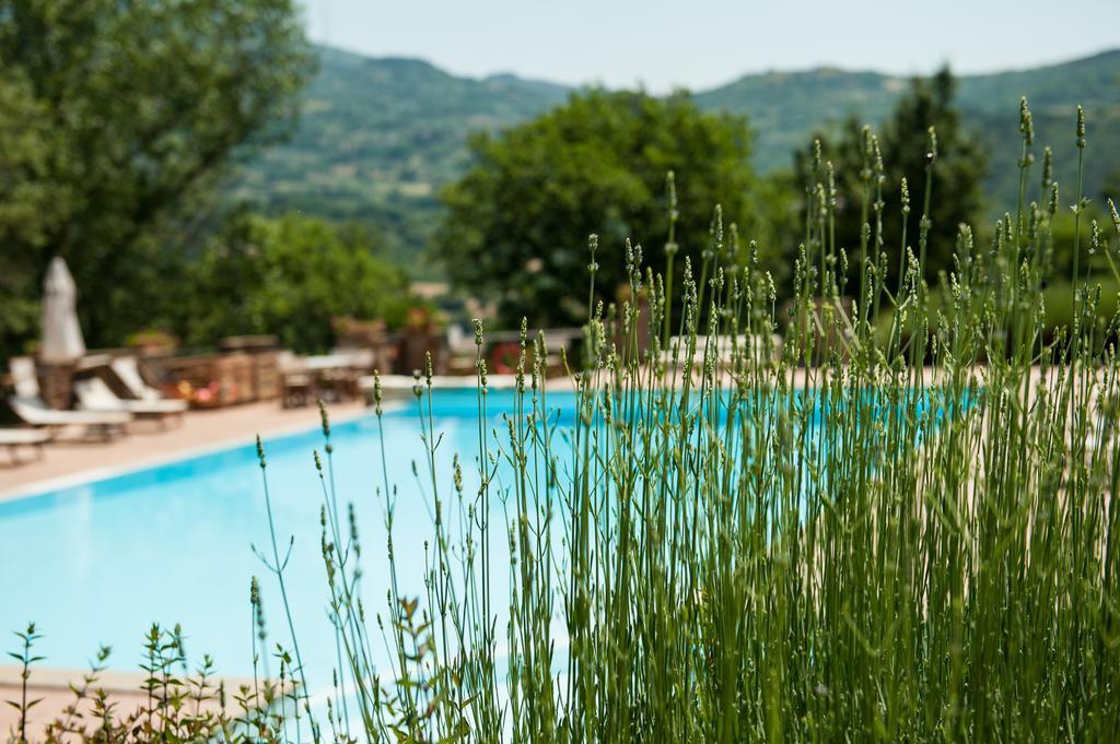 Azienda Agricola Il Pozzo Capolona