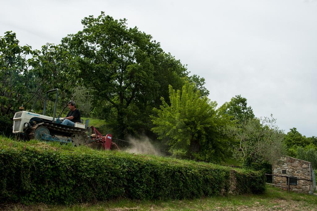 Azienda Agricola Il Pozzo Farm stay